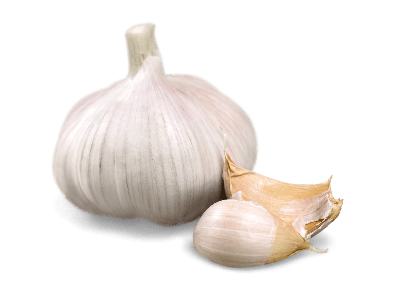 Mexican garlic